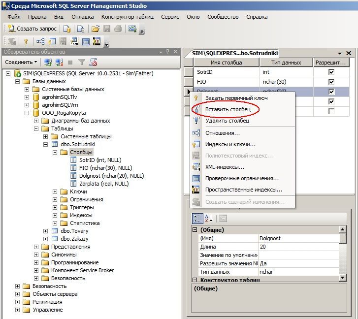 Как добавить картинку в sql