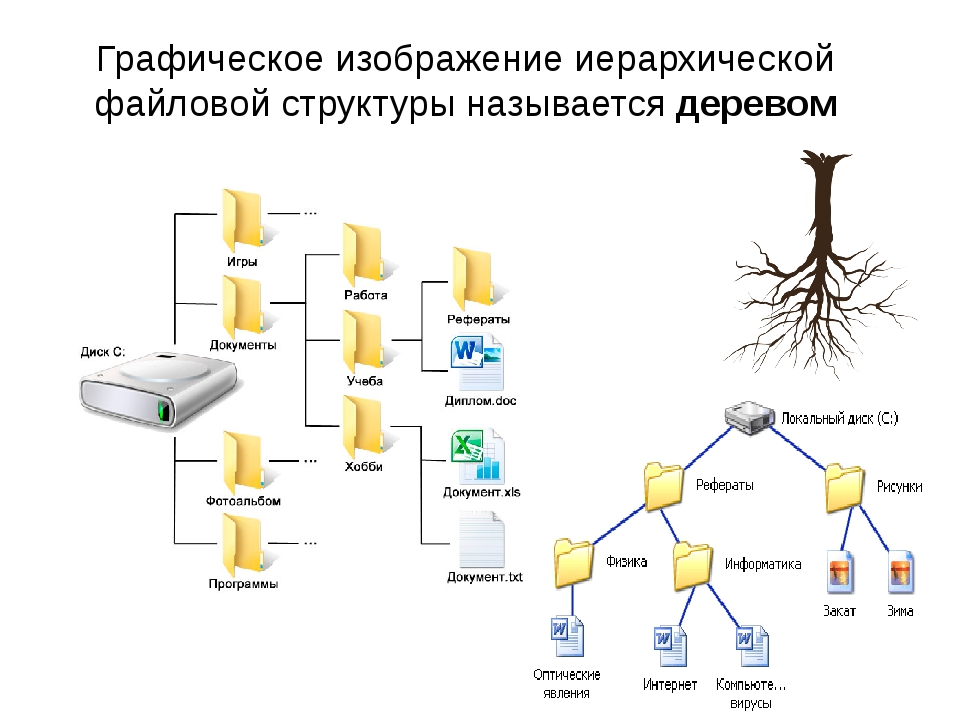 Элемент системы дерево. Структура файловой системы схема. Иерархическая файловая структура схема. Иерархическая файловая система компьютера. Древо файловой системы.
