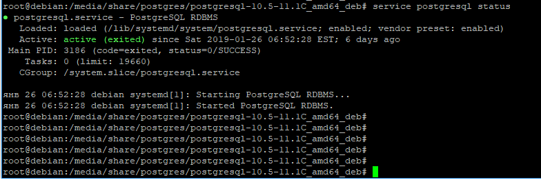 Из данного материала Вы узнаете, как установить PostgreSQL 12 на операционную систему Debian 10, а также как настроить PostgreSQL, для того чтобы реализовать полноценный сервер баз данных
