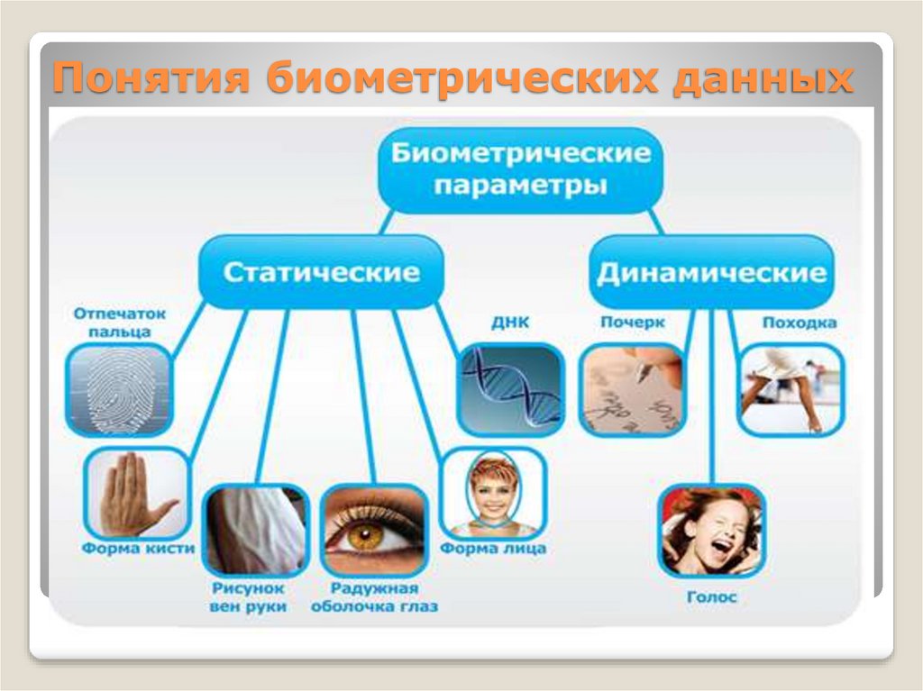 Методы обработки и распознавания изображений лиц в задачах биометрии