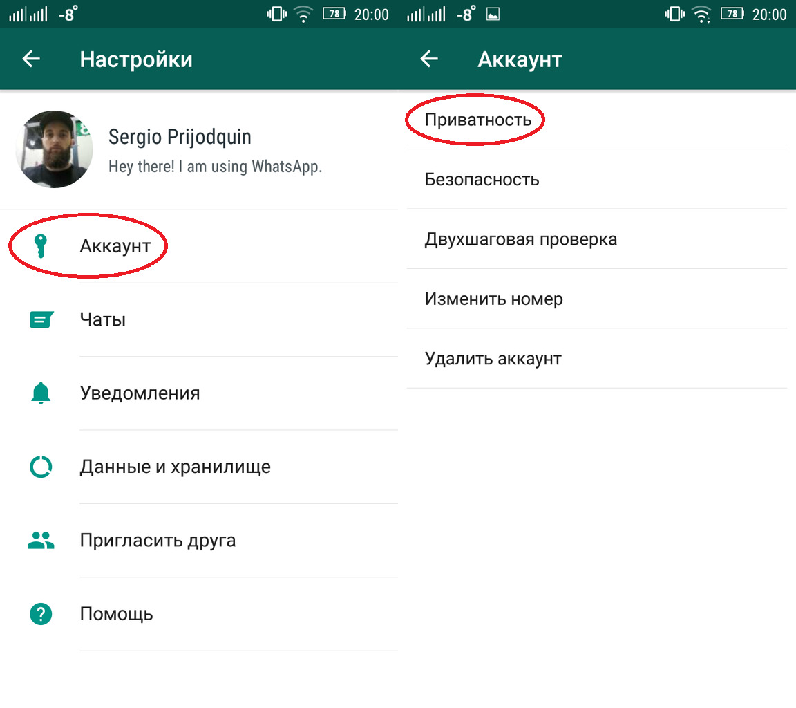 Как сделать в ватсапе невидимку на андроид или айфоне - все способы тарифкин.ру