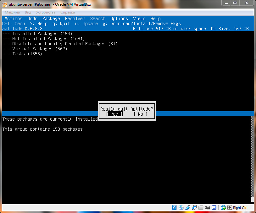 Установить сервер на телефон. Веб сервер Ubuntu. Настройка web сервера. Пакеты при установке Ubuntu Server. Ubuntu Server не вводится пароль.