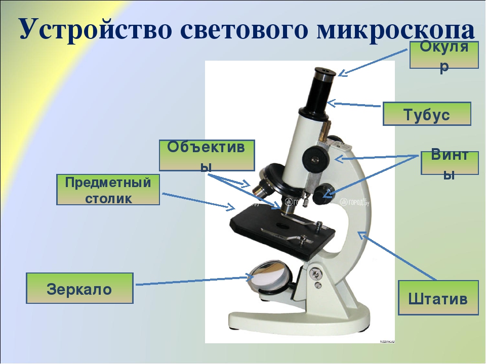 Изображение получаемое с помощью микроскопа является обратным мнимым увеличенным