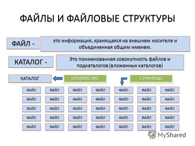 Каталог файлов. Файлы и файловые структуры. Внутренняя структура файла. Классы файлов по структуре. Описание структуры файла.