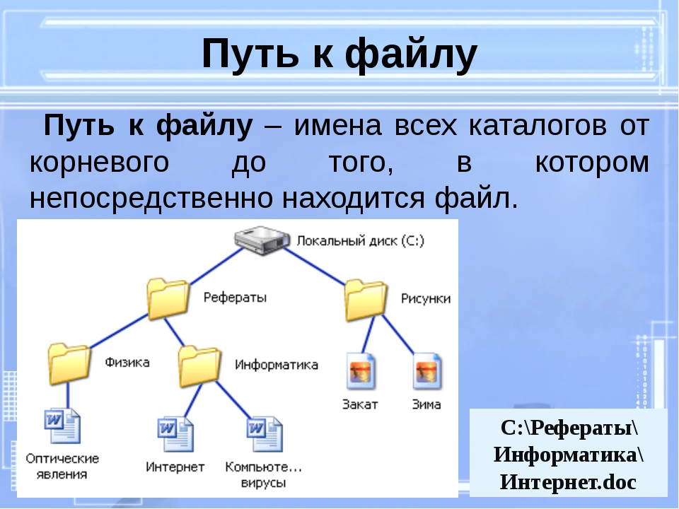 Загрузка и скачивание файлов в wordpress | wordpress mania