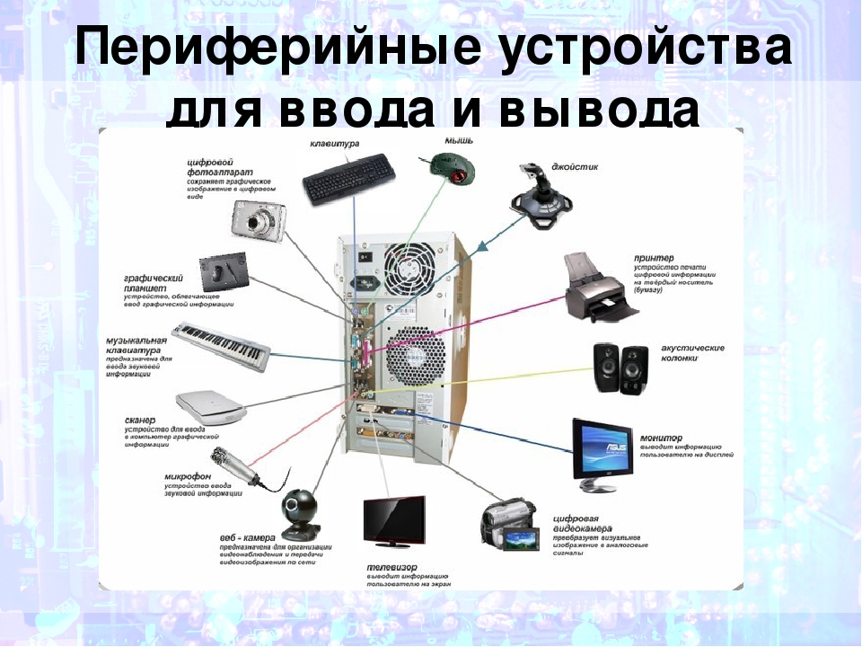 Какие устройства используют для ввода изображения в компьютер