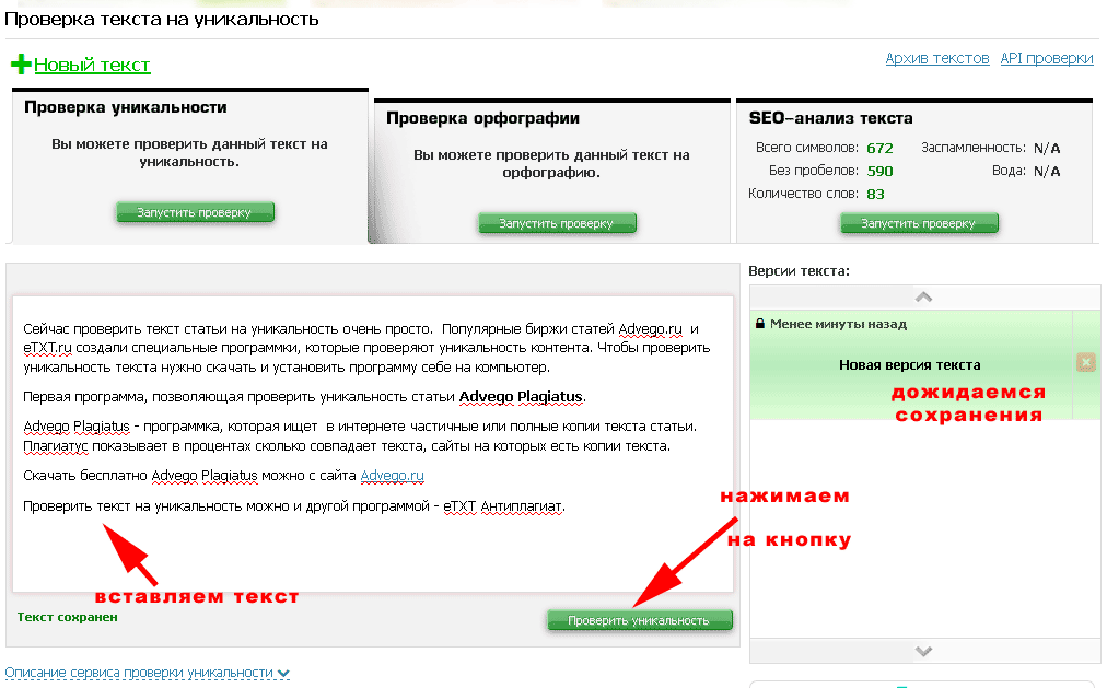 Проверка оригинальности проекта