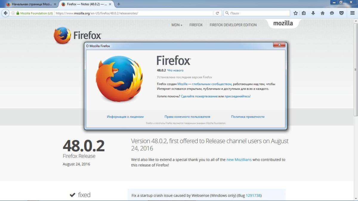 Версия браузера firefox. Мазила фаерфокс Интерфейс. Mozilla Firefox браузер Интерфейс. Первая версия Firefox. Актуальная версия Firefox.