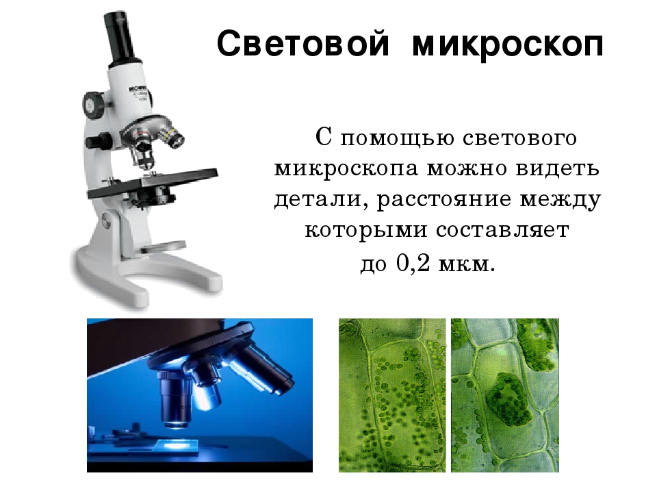 Получить объемное изображение исследуемого объекта можно с помощью микроскопа