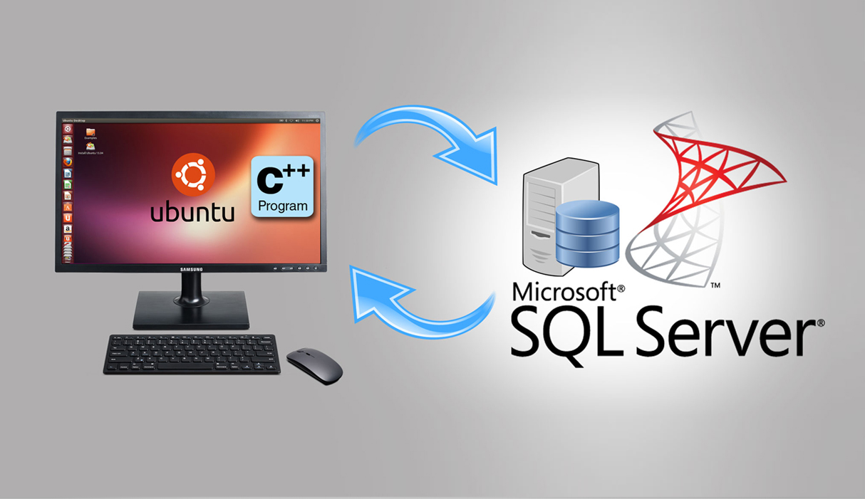 Api sql server