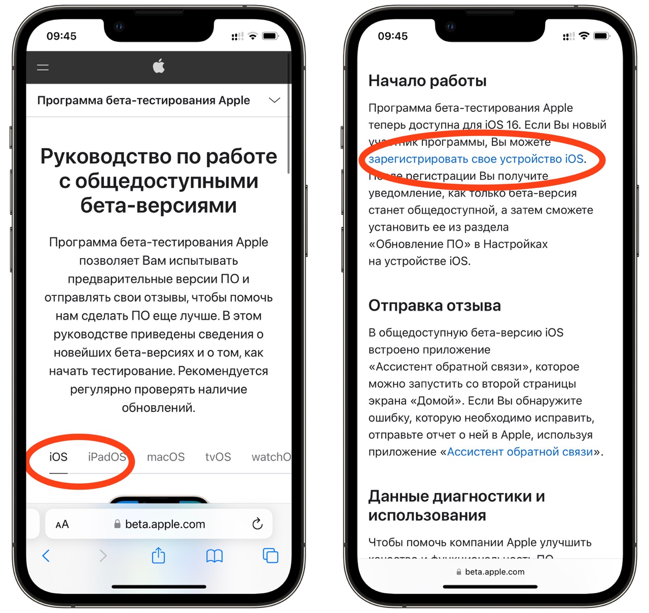 Приложение бета. Обновление IOS 16. IOS Beta. Айос 16 бета. Режим разработчика IOS 16.
