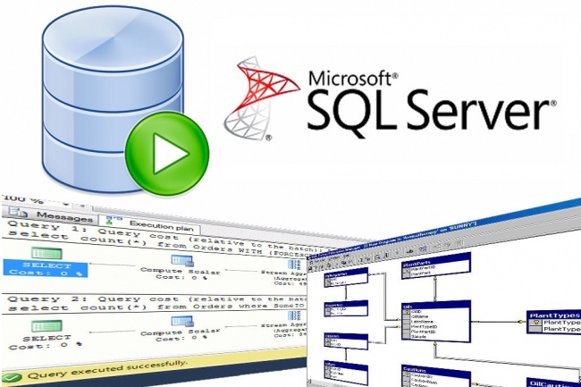 Готовые базы sql. Система управления базами данных MS SQL Server.. Microsoft SQL Server база данных. БД В MS SQL Server. Разработка SQL баз данных.