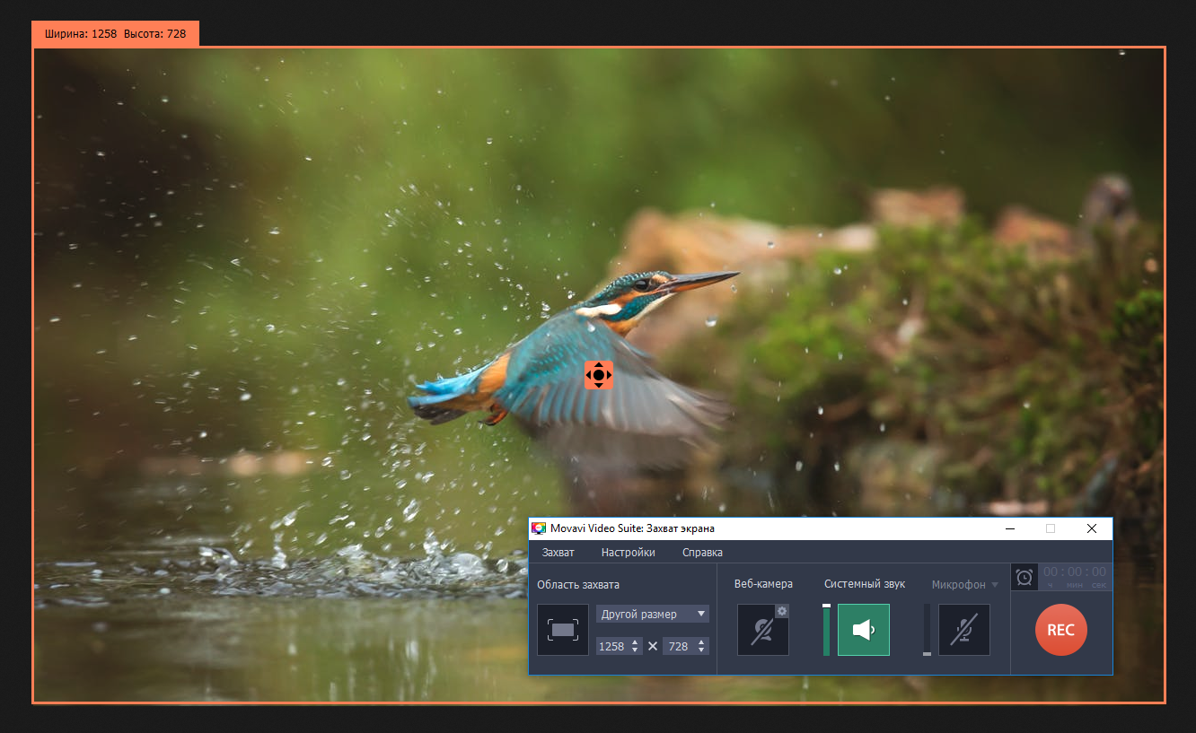 Скачать movavi screen recorder бесплатно
