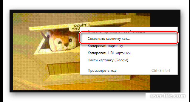 Как копировать картинку из интернета на компьютер