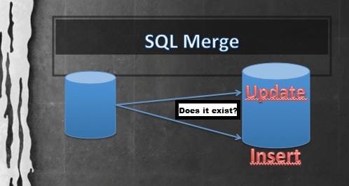 Книга — путь программиста t-sql. самоучитель по языку transact-sql | info-cast.ru