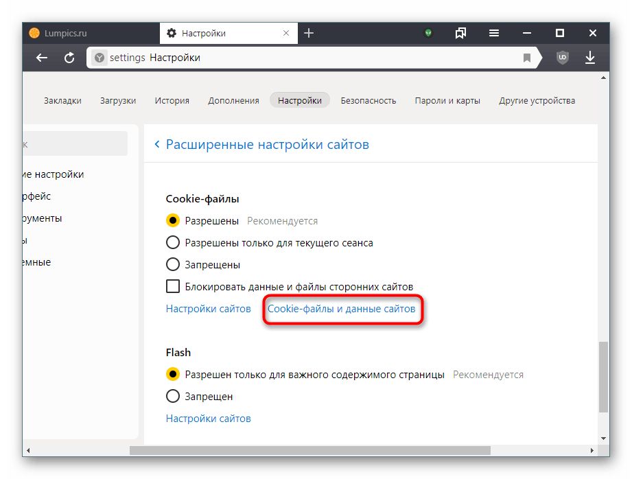 Удали браузер. Очистить куки в Яндекс браузере. Файлы cookie в Яндекс браузере. Файлы куки в Яндекс браузере. Как почистить куки в Яндекс браузере.