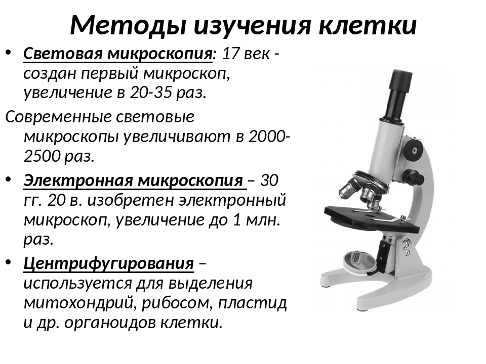 Изображение получаемое с помощью микроскопа является обратным мнимым увеличенным