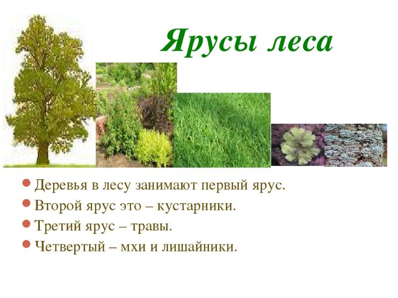 История местоположений гугл хронология на андроиде: как узнать где был человек