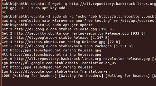 Как установить пакеты deb в ubuntu и linux mint