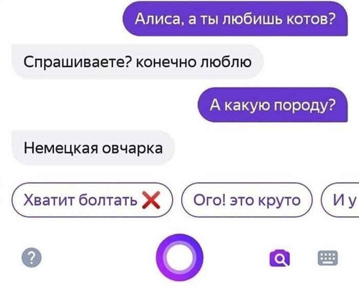 Картинки прикольные алиса