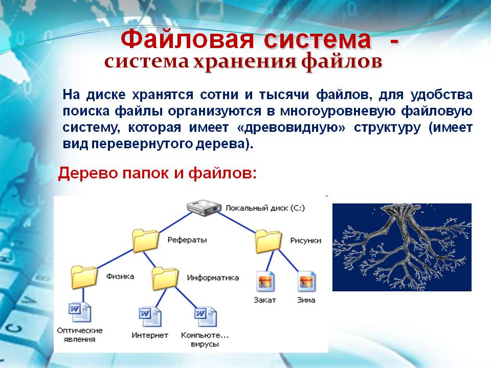 Презентация на тему файлы и файловые структуры