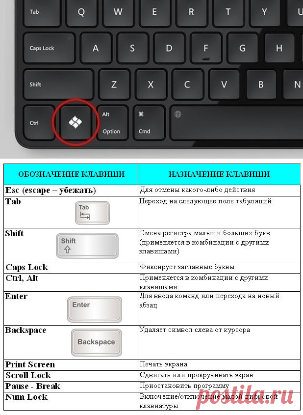 Какую клавишу необходимо нажать чтобы вернуться из режима просмотра презентации