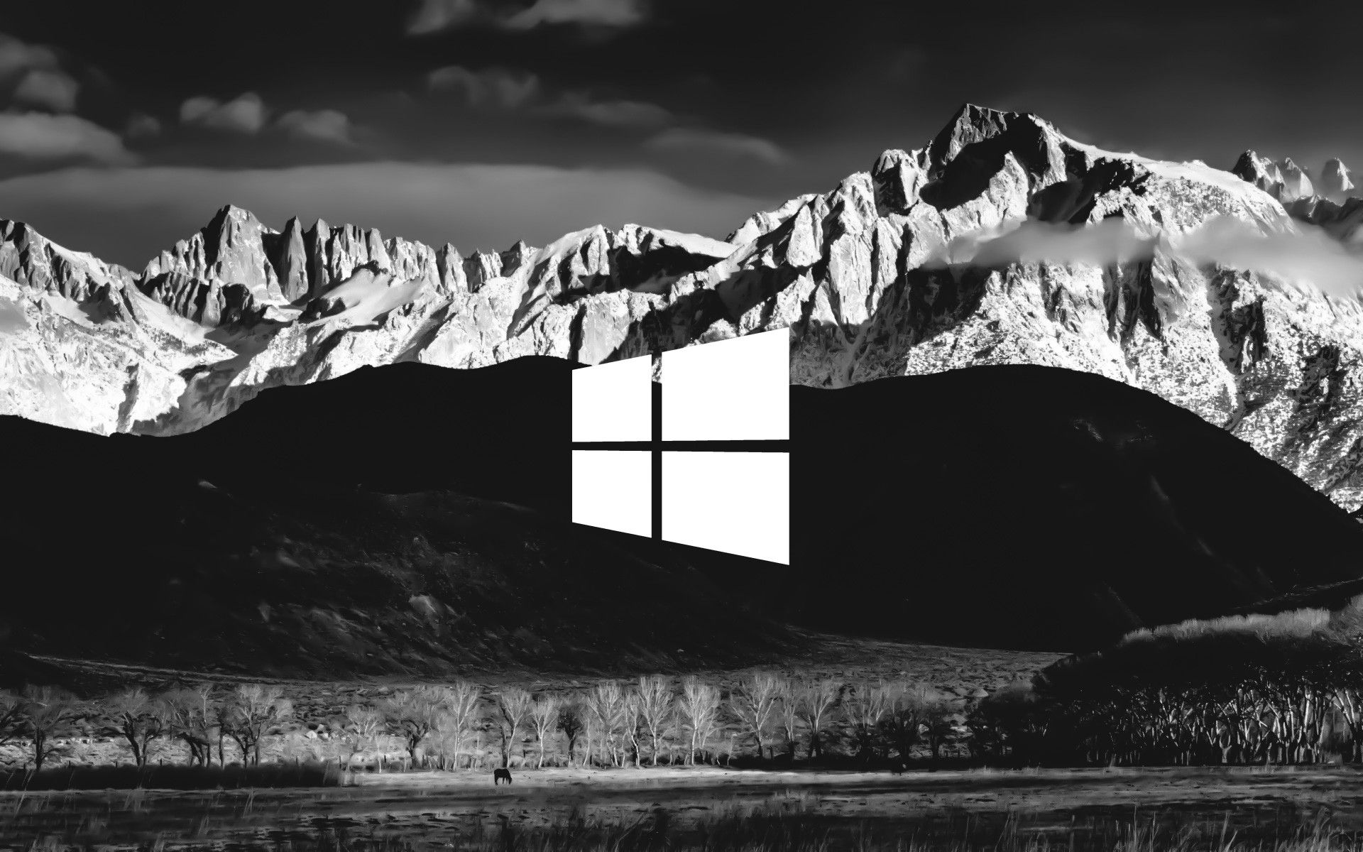 Экран компьютера стал черно-белым в windows 10: как исправить