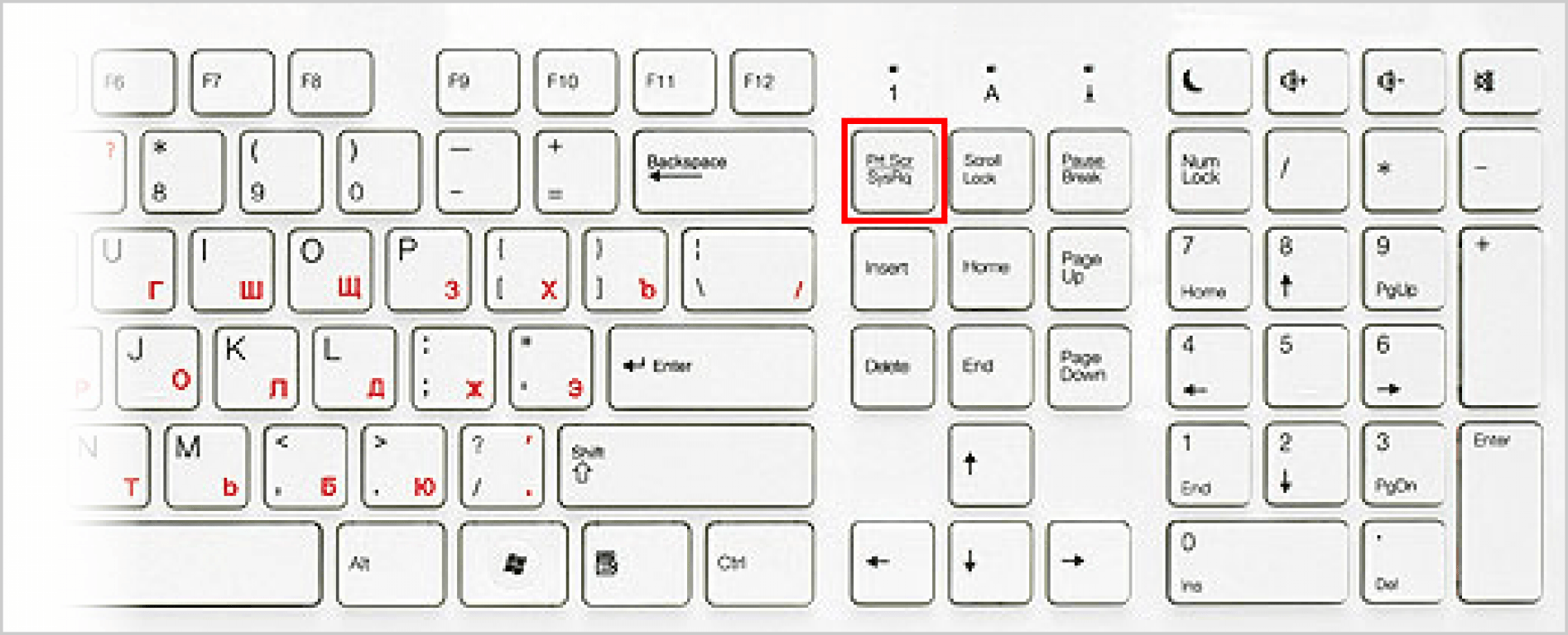 Как сделать скриншот картинки на компьютере с помощью клавиатуры