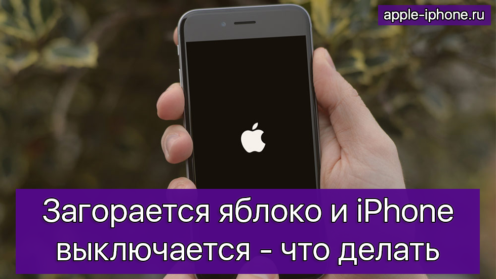 Айфон не включается, что делать - горит яблоко: все варианты тарифкин.ру