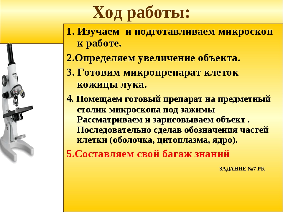 Как работает микроскоп презентация