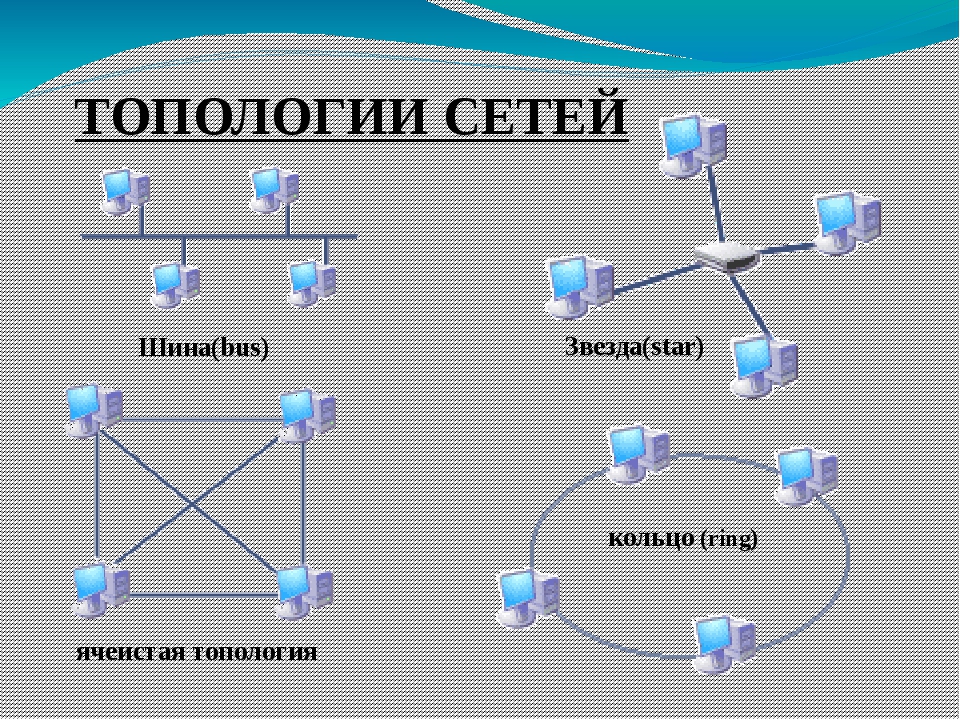 К какой сети относится верный. Топология локальных компьютерных сетей шина кольцо звезда. Схема топология сетей шина звезда кольцо. Виды локальных сетей схема. Топология типа «звезда - шина».