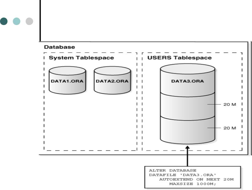 Межплатформенная миграция oracle database