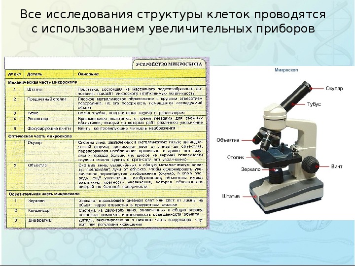 Какой выбрать микроскоп для школьника? cоветы по выбору лучшего микроскопа для школьника.